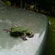 Image for article titled Shooting Challenge: Cellphone Gallery Part 7